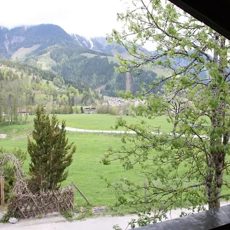 Chalet In Salzburg With Garden *