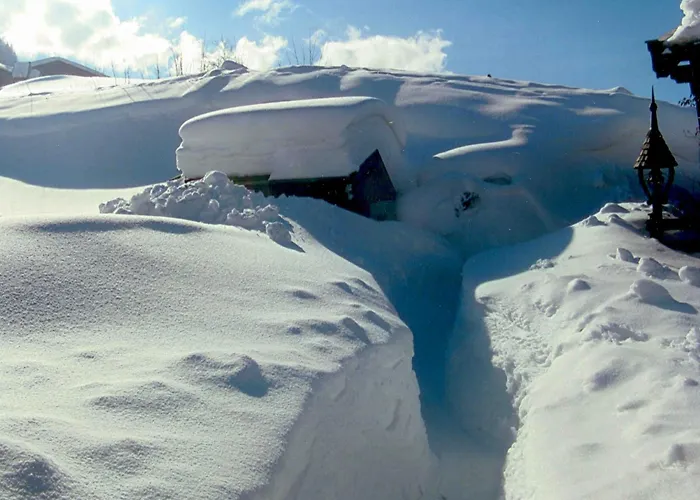 In Near Slopes 샬레 *